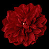 * Elegant Bridal Wedding Red Flower Bridal Wedding Hair Clip or Bridal Wedding Hair Clip Bridal Wedding Brooch Dahlia for Wedding Day Up Do - Bridal Wedding Hair Clip 402