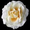 * Classic Butter Cream Rose Flower Bridal Wedding or Formal Hair Clip 408