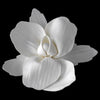 * Elegant Orchid Bridal Wedding Hair Clip 425 with Bridal Wedding Brooch Pin