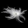 * Light Ivory Bridal Wedding Feather Bridal Wedding Hair Fascinator Bridal Wedding Hair Clip 440 wit Bridal Wedding Brooch Pin