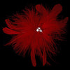 Bridal Wedding Feather Fascinator Bridal Wedding Hair Clip Bridal Wedding Brooch 442 ( Red, Black, Ivory, White or Cafe)