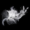 Ravishing Ivory Feather Bridal Wedding Hair Comb 8985