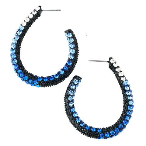 * Four Tone Blue Mix on Black Hoop Earring Set 8542