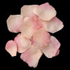 100 Peach Fuchsia Artificial Bridal Wedding & Formal Silk Rose Petals
