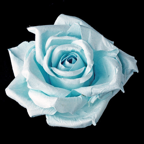 Elegant Rose BQ 9848