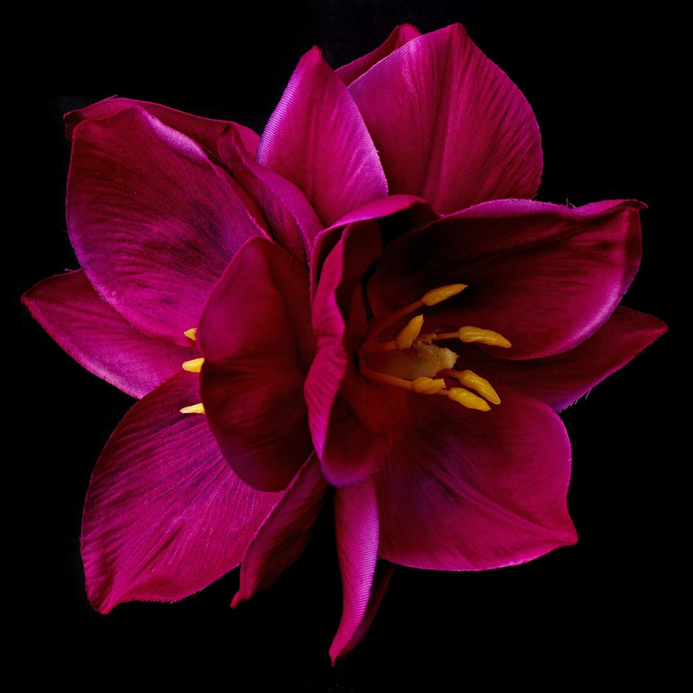 Fuchsia flower hair online accessories