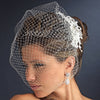 Vintage Feather Rhinestone Bridal Wedding Hair Comb & Russian Blusher Bridal Wedding Veil Cage 2718