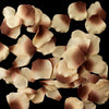 100 Cinnamon Peach Artificial Bridal Wedding & Formal Silk Rose Petals